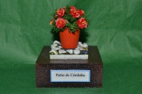 /album/minipeanas1/dsc-0175-jpg2/