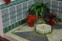 /album/minipatio-1/dsc-0235-jpg1/