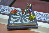 /album/escenas-de-suelo/dsc-0511-jpg1/