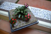 /album/escenas-de-suelo/dsc-0531-jpg/